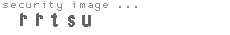 security image
