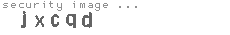 security image