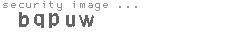 security image