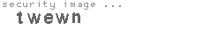security image