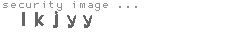 security image