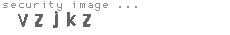 security image