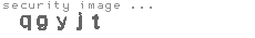 security image