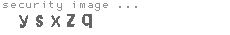 security image