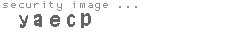 security image