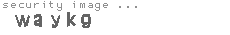 security image