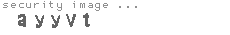 security image