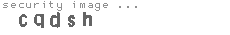security image