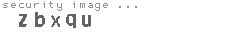 security image