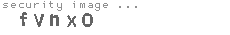 security image