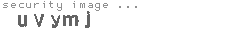 security image
