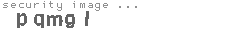 security image