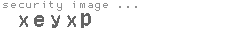 security image