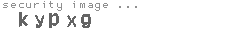 security image