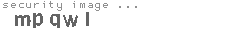 security image