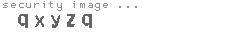 security image