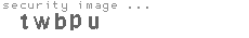 security image