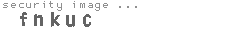 security image