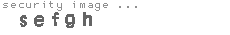 security image