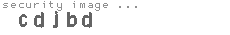 security image