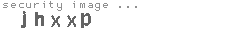 security image