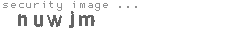 security image