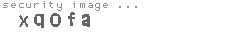 security image