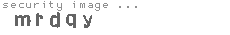 security image