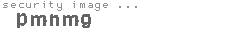 security image