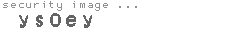 security image