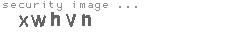 security image