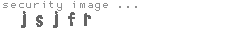 security image