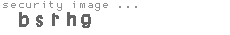 security image