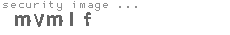 security image