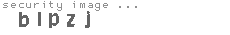 security image