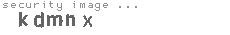 security image