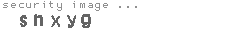 security image