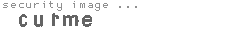 security image