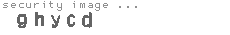 security image