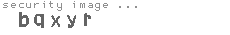 security image