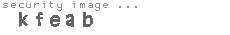 security image