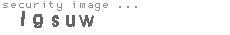 security image