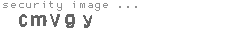 security image
