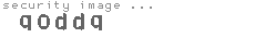 security image
