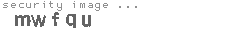 security image
