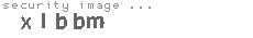 security image