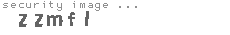 security image