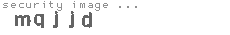 security image