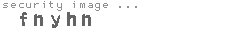security image