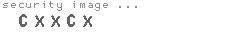 security image